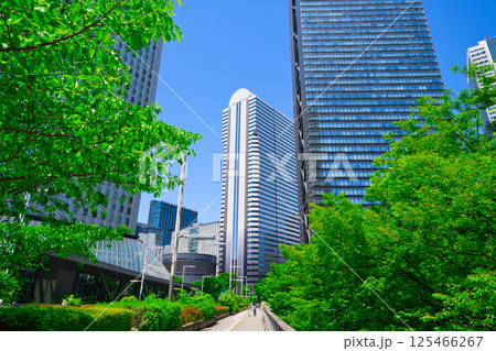【東京都】5月・ゴールデンウイークに青空の新宿駅周辺を観光する 125466267