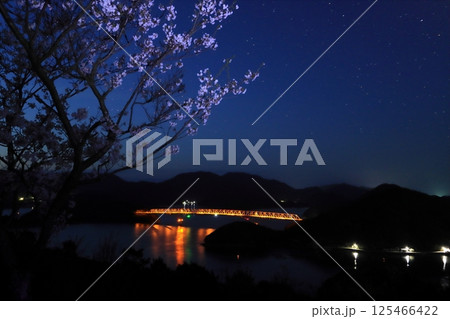 若松大橋と夜桜 若松大橋と夜桜 125466422