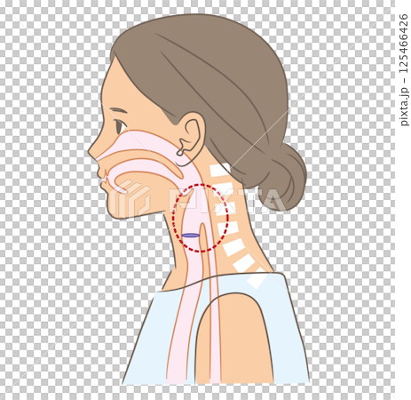 正常な姿勢の女性、頸椎と咽頭のイラスト 正常な姿勢の女性、頸椎と咽頭のイラスト 125466426