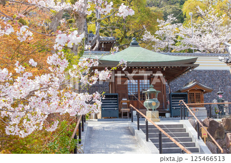 桜満開の神戸・須磨寺の厄除大師 125466513