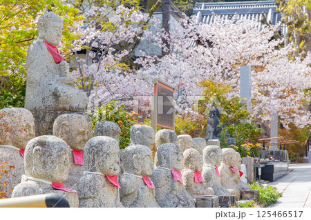 神戸・須磨寺のお地蔵さんと満開の桜 神戸・須磨寺のお地蔵さんと満開の桜 125466517