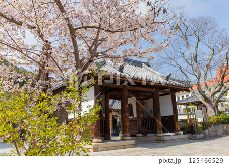 桜満開の神戸・須磨寺の仁王門 125466529