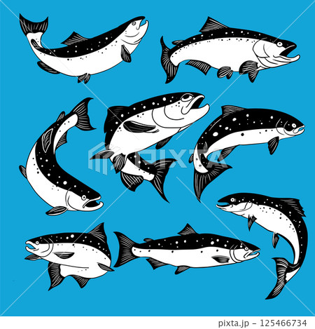 The Salmon fish for sport or food concept. 125466734