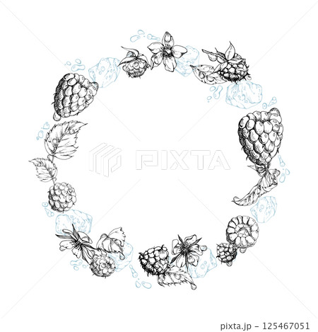 Raspberry berries wreath flying in water splash with leaves, ice cubes, dew drops hand drawn in vector ink. Ripe garden dewberry cloudberry mulberry. Isolated circle frame. Fresh grocery store, drinks 125467051