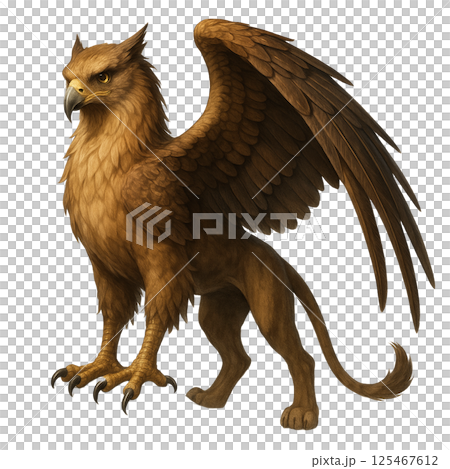 獅鷲背景去除 125467612
