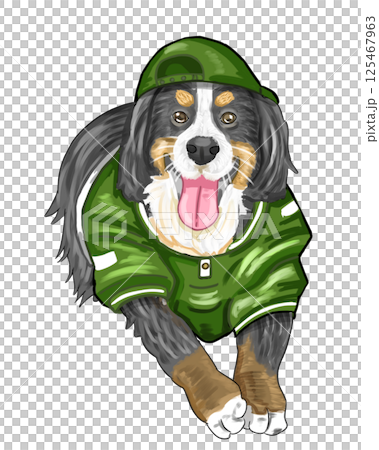 伯恩山犬 125467963