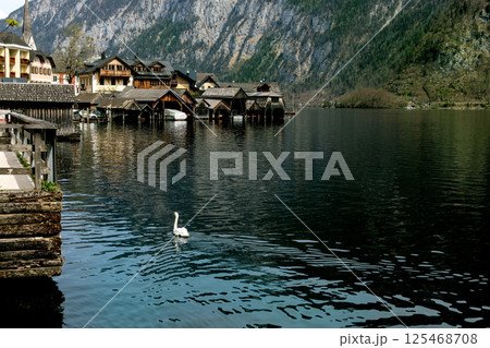 Hallstatt Austria. Alpine Village Swan Lake Mountain Retreat 125468708
