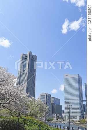 横浜みなとみらい21と桜の花 横浜みなとみらい21と桜の花 125468804