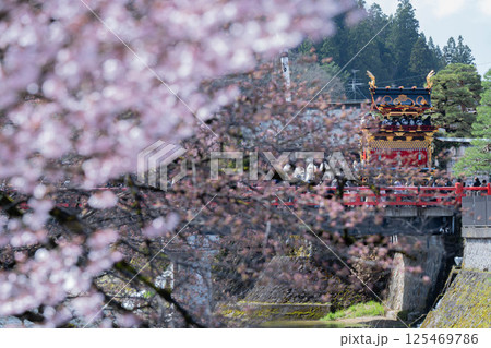 桜と高山祭の屋台 桜と高山祭の屋台 125469786