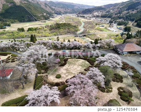 桜が満開の日本こけし館　空撮 125470384
