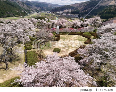 桜が満開の日本こけし館　空撮 125470386