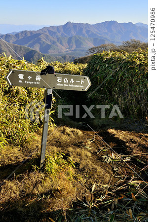天子山地の竜ヶ岳 笹原の分岐点から望む御坂山地 天子山地の竜ヶ岳 笹原の分岐点から望む御坂山地 125470986