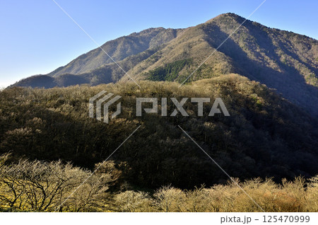天子山地の竜ヶ岳から眺める晩秋のタカデッキと雨ヶ岳 天子山地の竜ヶ岳から眺める晩秋のタカデッキと雨ヶ岳 125470999