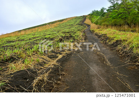 丹沢の甲相国境尾根 鉄砲木ノ頭の草原を通る登山道 丹沢の甲相国境尾根 鉄砲木ノ頭の草原を通る登山道 125471001