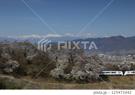 旧勝沼駅のスイッチバック線の桜と中央本線 125471042