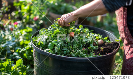 Person Adding Greens to Compost in Garden Bin Person Adding Greens to Compost in Garden Bin 125471078
