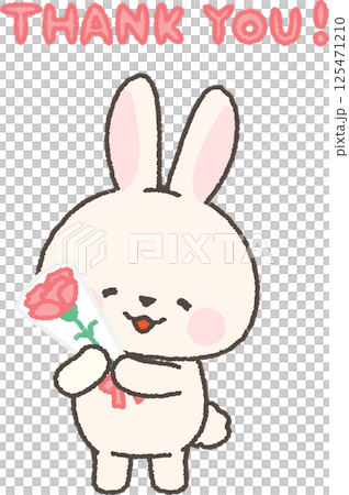 White rabbit holding a bouquet of carnations White rabbit holding a bouquet of carnations 125471210