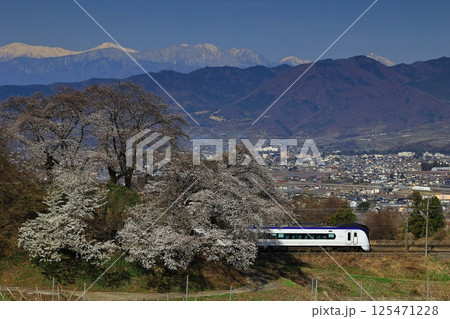 旧勝沼駅のスイッチバック線の桜と中央本線 125471228