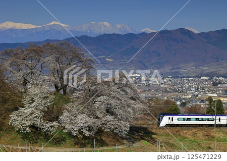 旧勝沼駅のスイッチバック線の桜と中央本線 125471229