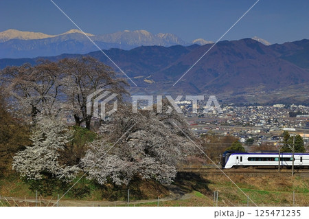 旧勝沼駅のスイッチバック線の桜と中央本線 旧勝沼駅のスイッチバック線の桜と中央本線 125471235