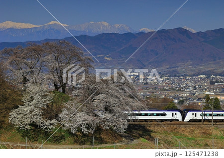 旧勝沼駅のスイッチバック線の桜と中央本線 125471238