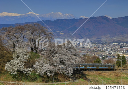 旧勝沼駅のスイッチバック線の桜と中央本線 旧勝沼駅のスイッチバック線の桜と中央本線 125471328