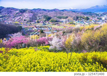 【福島県_花見山公園】山一面が百花繚乱（ひゃっかりょうらん） 125471400