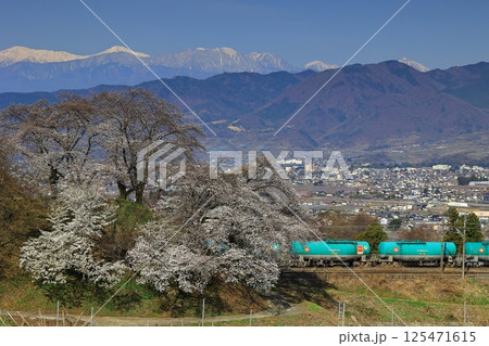 旧勝沼駅のスイッチバック線の桜と中央本線 旧勝沼駅のスイッチバック線の桜と中央本線 125471615