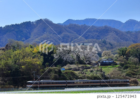 桜と身延線を走る特急ふじかわ 桜と身延線を走る特急ふじかわ 125471943