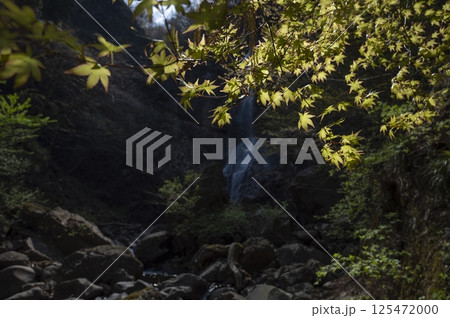 新緑に包まれる滝と木漏れ日 125472000