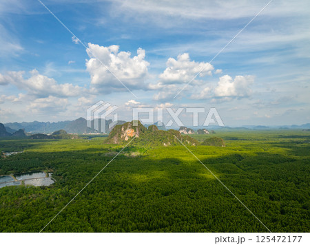 High angle view mountains rainforest trees nature background High angle view mountains rainforest trees nature background 125472177