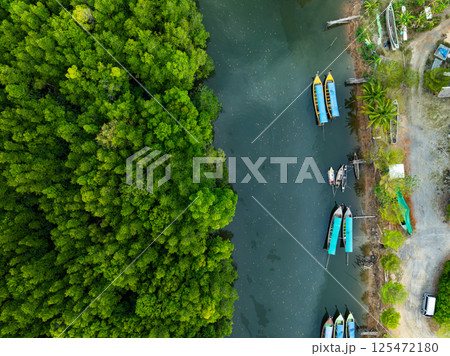 Amazing abundant mangrove forest, Aerial view of forest trees Rainforest ecosystem and healthy environment background, Texture of green trees forest top down, High angle view 125472180