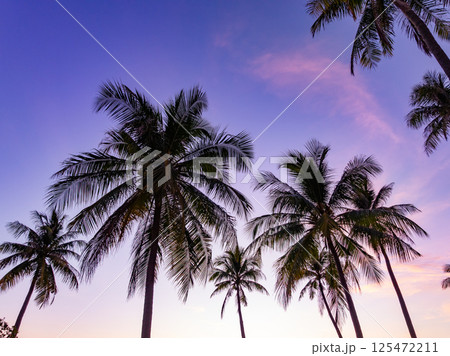 Amazing light sunset or sunrise sky landscape view,Beautiful nature colorful sky background 125472211