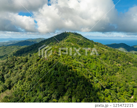 High angle view mountains rainforest trees nature background High angle view mountains rainforest trees nature background 125472215