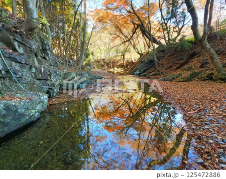 渓流の秋景色 125472886