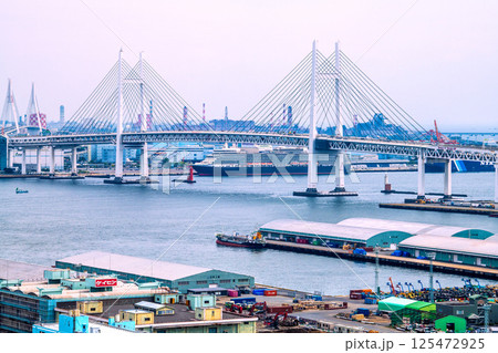 日本の横浜都市景観　大黒ふ頭の豪華客船クイーン・エリザベスを望む（横浜に豪華客船4隻）＝4月26日 125472925