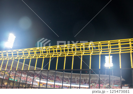 マツダスタジアムライトスタンド最前列の観戦 マツダスタジアムライトスタンド最前列の観戦 125473081