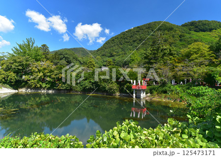 出雲大神宮 神池辨財天社と御影山 出雲大神宮 神池辨財天社と御影山 125473171