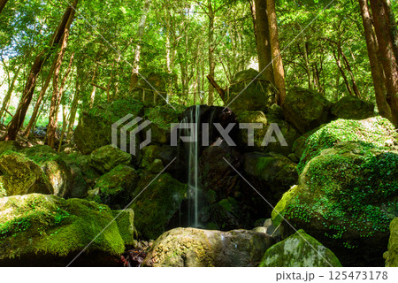 出雲大神宮 御蔭の滝 出雲大神宮 御蔭の滝 125473178