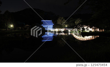 横浜市金沢区金沢文庫の称名寺の夜景 125473454