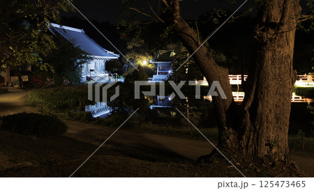 横浜市金沢区金沢文庫の称名寺の夜景 横浜市金沢区金沢文庫の称名寺の夜景 125473465