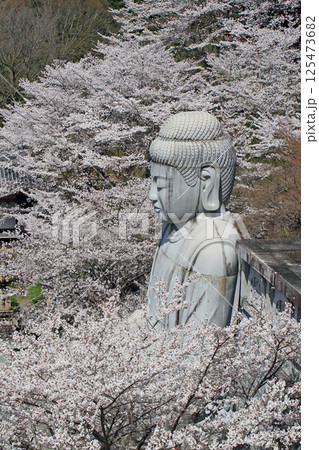 壺阪寺の桜大仏 125473682