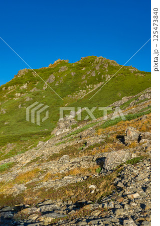 千枚岳から見上げる悪沢岳 南アルプス 悪沢岳と荒川岳登山 千枚岳から見上げる悪沢岳 南アルプス 悪沢岳と荒川岳登山 125473840