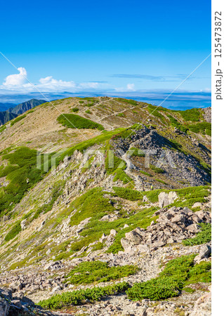 荒川中岳から見る荒川前岳　南アルプス　悪沢岳と荒川岳登山 125473872