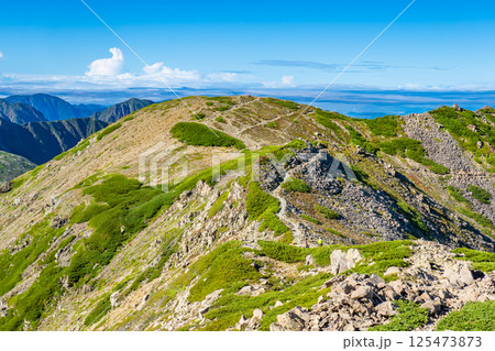 荒川中岳から見る荒川前岳　南アルプス　悪沢岳と荒川岳登山 125473873