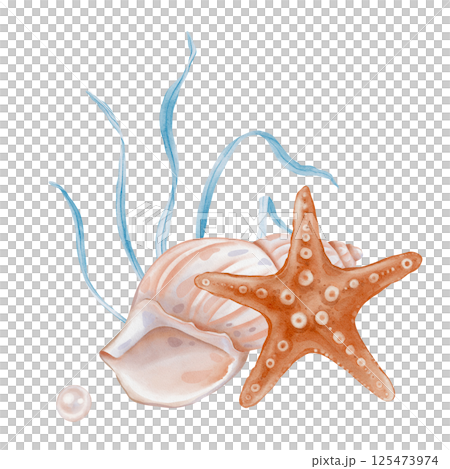 Watercolor composition of Seashell and Seaweed, star and pearl. Hand drawn illustration of pastel color Sea Shell and Algae on isolated background. Undersea element for design in marine vintage style. Watercolor composition of Seashell and Seaweed, star and pearl. Hand drawn illustration of pastel color Sea Shell and Algae on isolated background. Undersea element for design in marine vintage style. 125473974