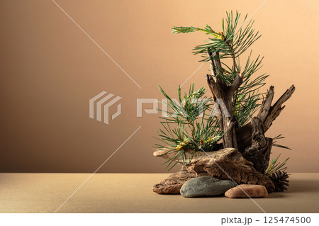 Abstract nature scene with a composition of pine branches, stones, and dry snags. Abstract nature scene with a composition of pine branches, stones, and dry snags. 125474500