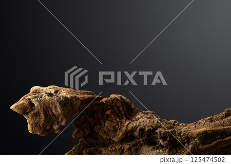 Dried wooden snag on a black background. 125474502