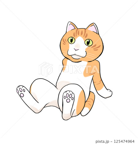 猫　ひとやすみ 125474964