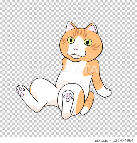猫　ひとやすみ 125474964
